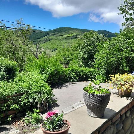 Emilia Apartment Sighnaghi Luaran gambar