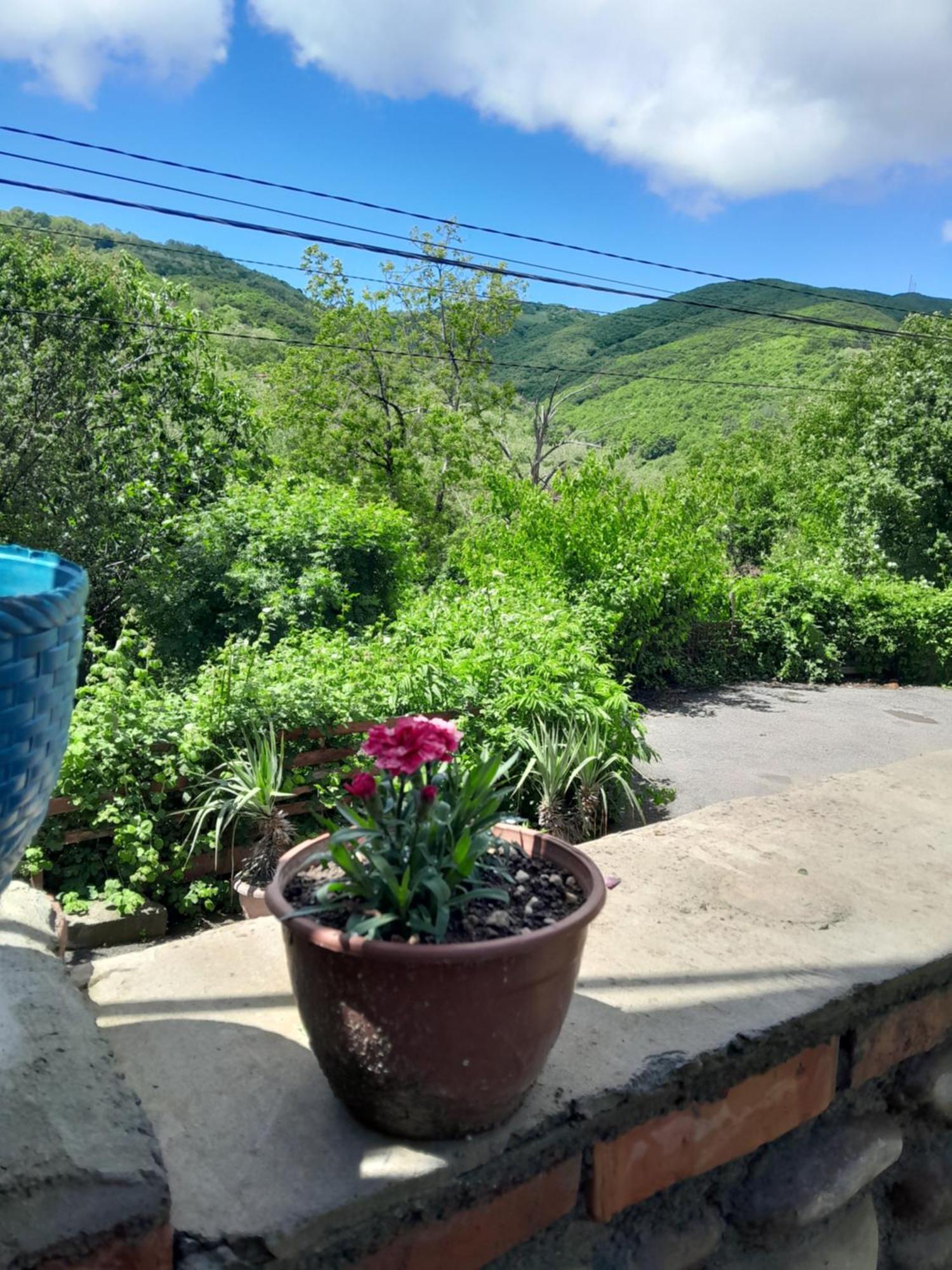 Emilia Apartment Sighnaghi Luaran gambar